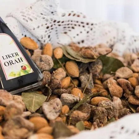 Kola - Double With Terrace 아파트